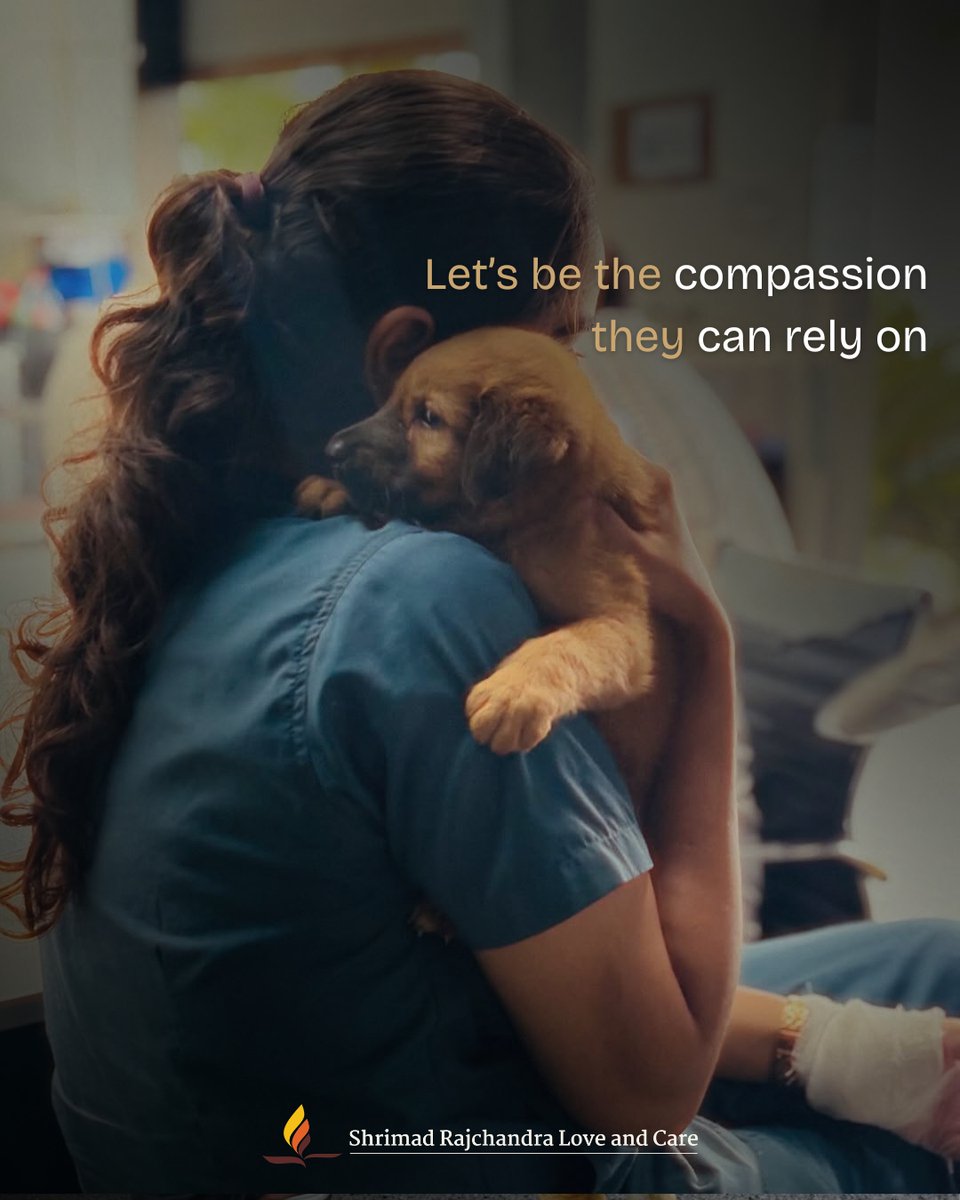 SRLCUSA's tweet photo. A little kindness goes a long way… especially for those who can’t ask for it.
This World Stray Animals Day, let’s turn awareness into action. Because for them, your small gesture can mean everything.
#SRLC #WorldStrayAnimalsDay #AnimalCare #KindnessForAll #Nonprofit https://t.co/1t9jgNVRSb