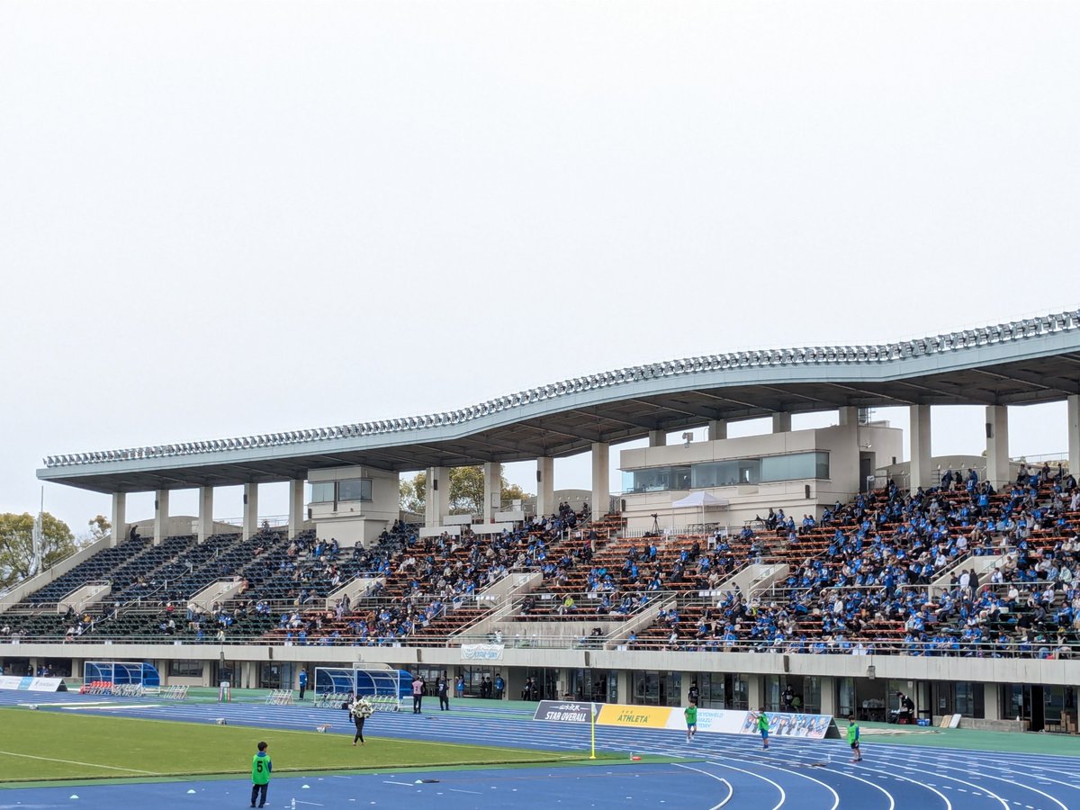 藤子@写真展ありがとう tweet media