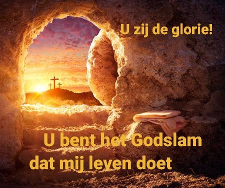 Ellen van Hartingsveldt-vd Wel tweet media