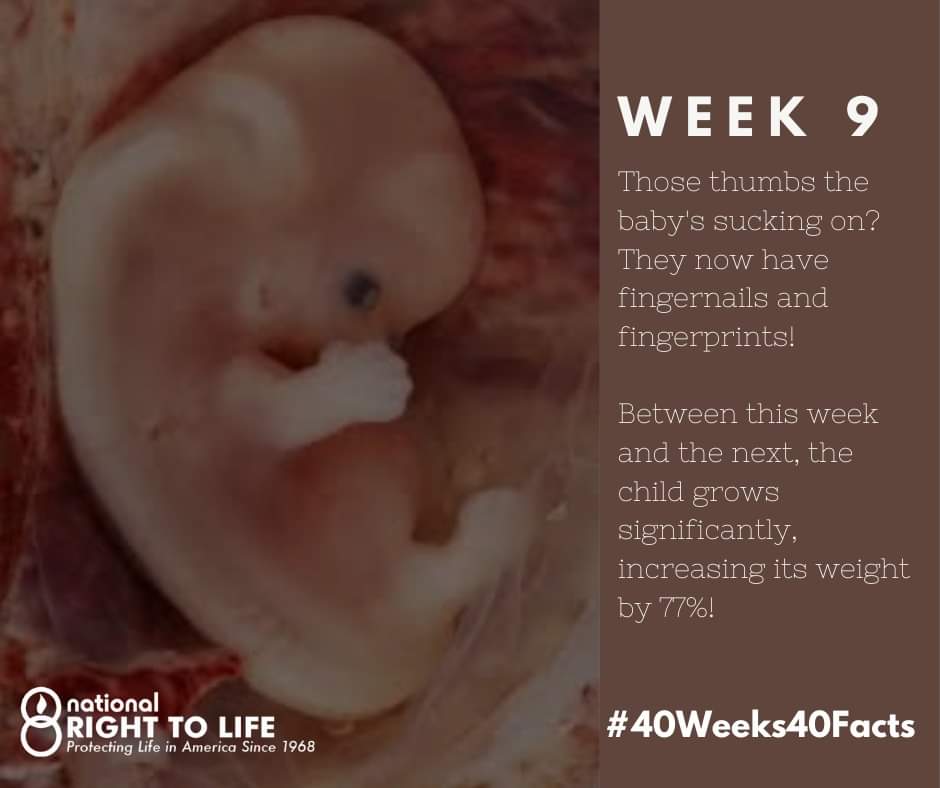 Patriot Erin tweet media