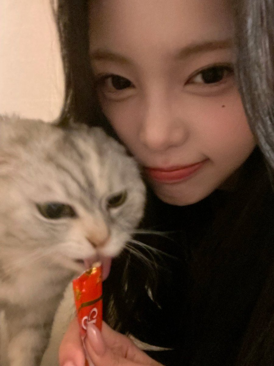 iiiiiiiiian! ૮₍ • ˕ - ₎ა♡ tweet media