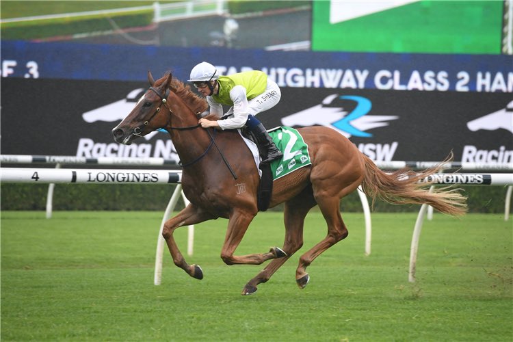 Graeme White tweet media