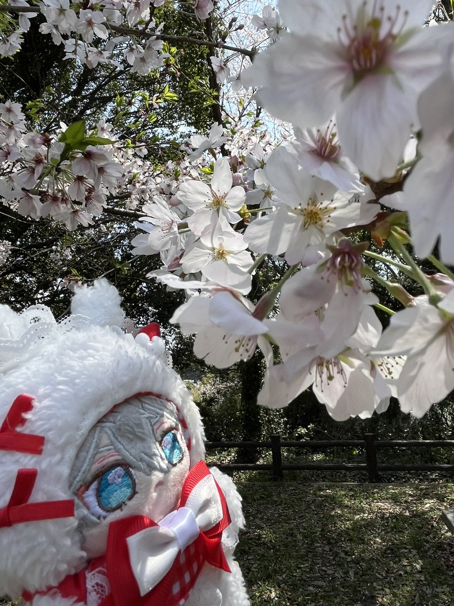 なつめ。ダイヤモンドは砕くもの tweet media