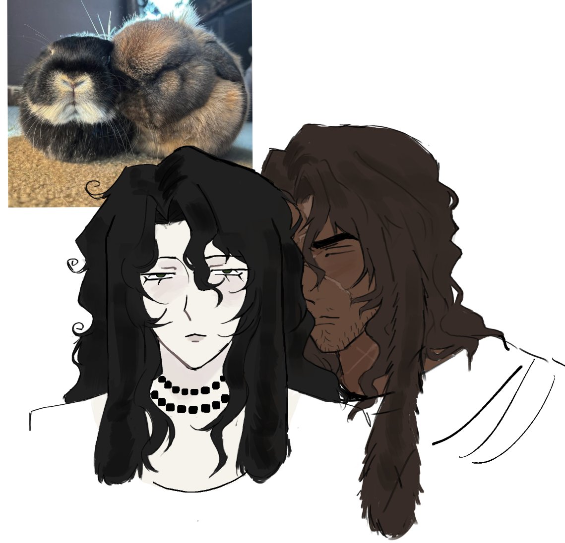 Moxy 🐦‍⬛ erlkingfan9000 tweet media