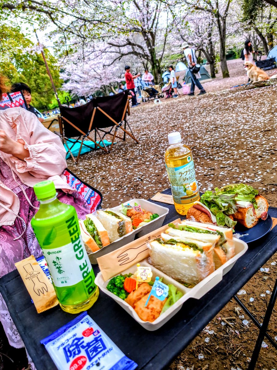 Aki 𓆲 tweet media