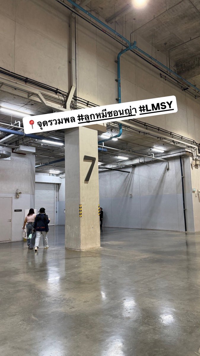 lily house. tweet media