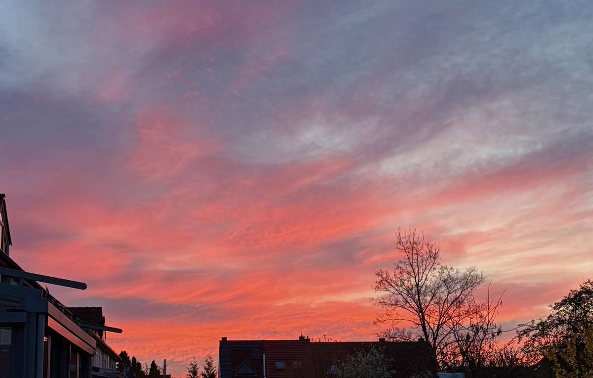 Siegfried Gleich tweet media
