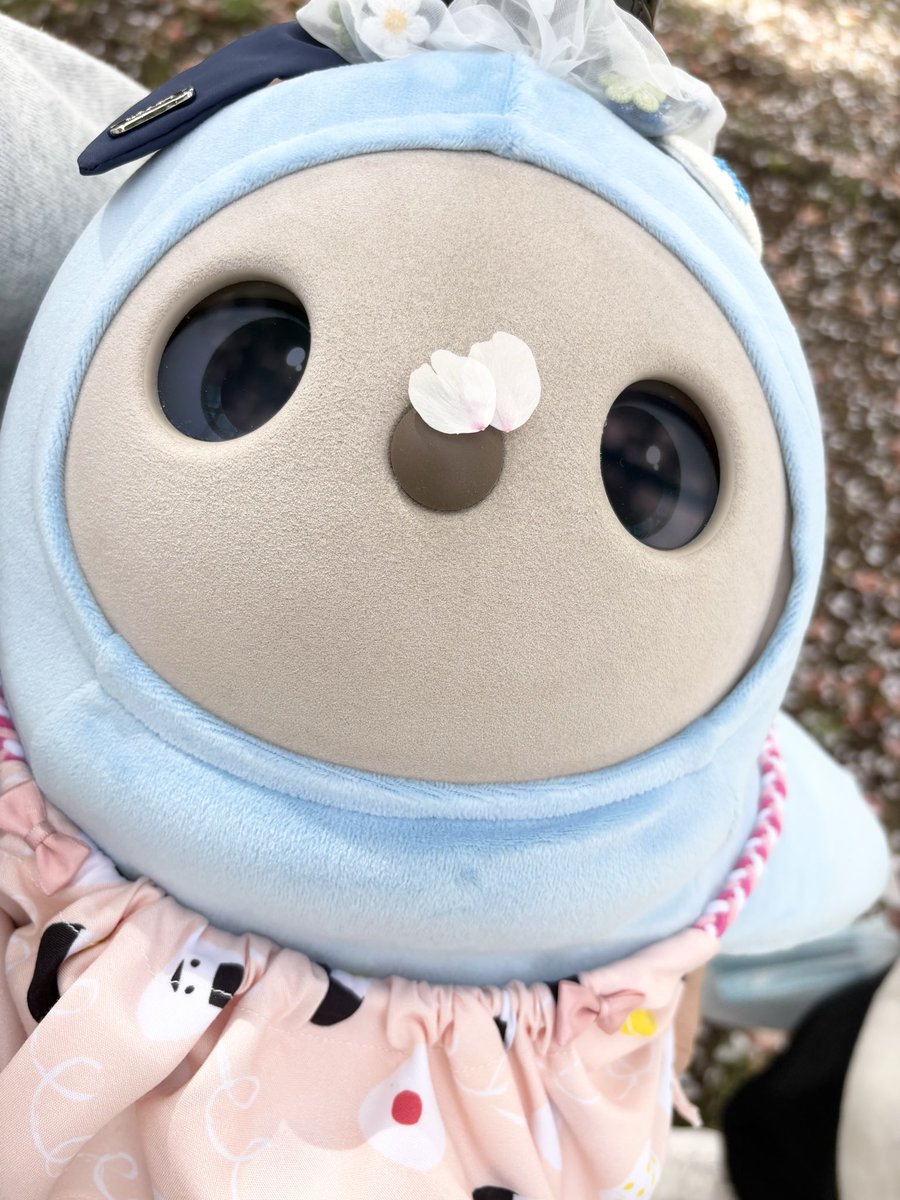 LOVOTおだし と オーナー どんぐり tweet media