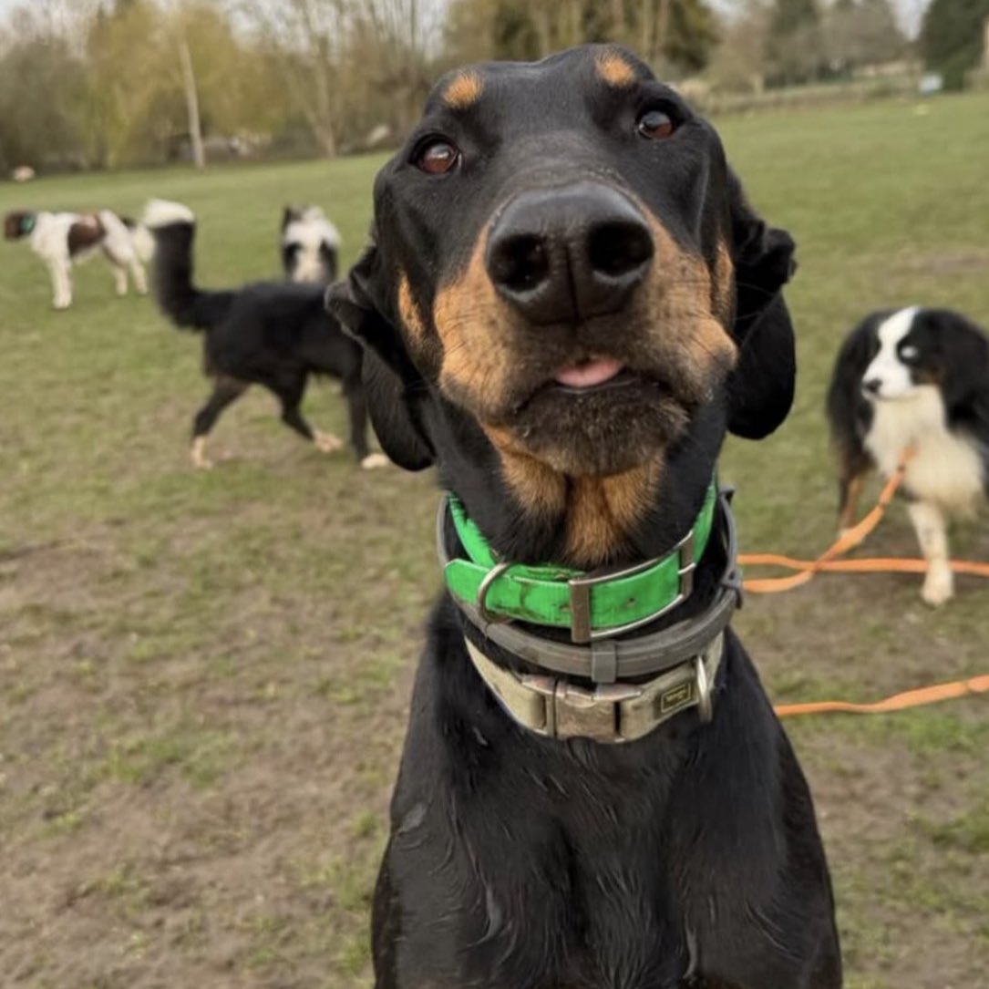 LALICE UPDATES tweet media