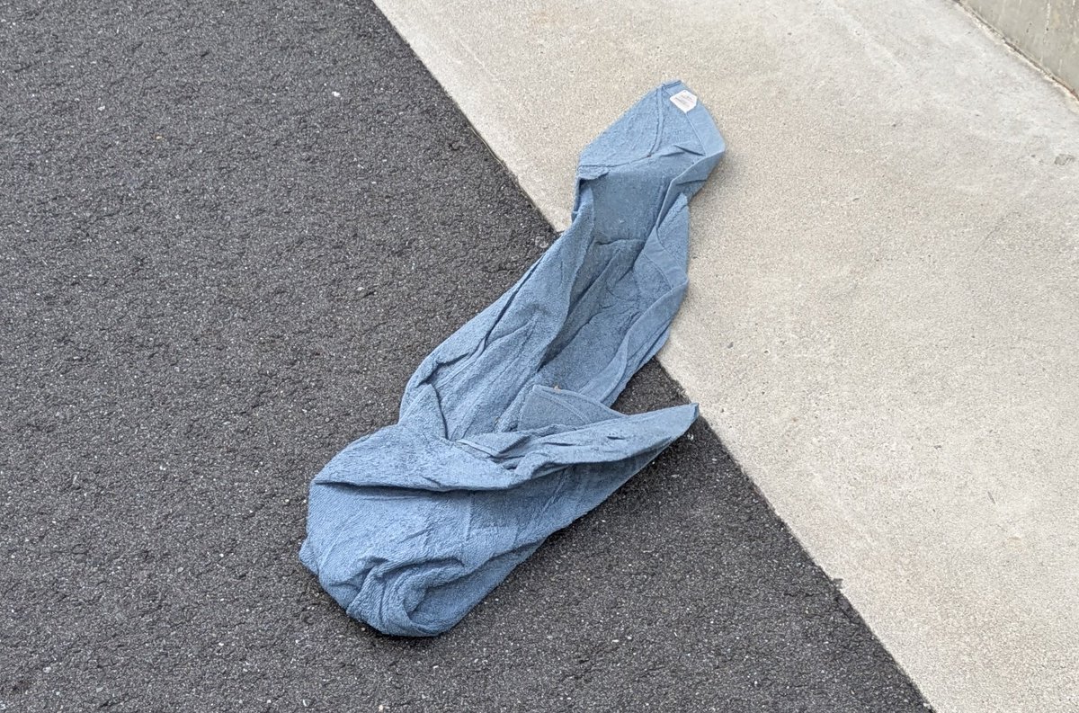 ま、えーだ。🍵 tweet media