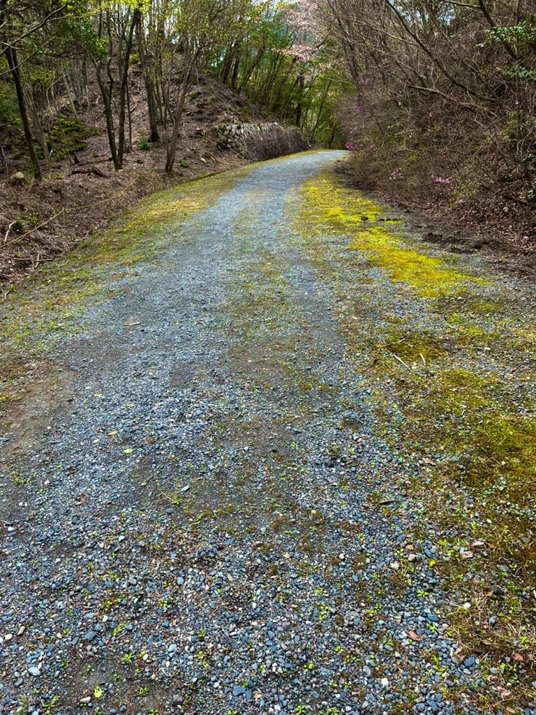 やまのこ tweet media