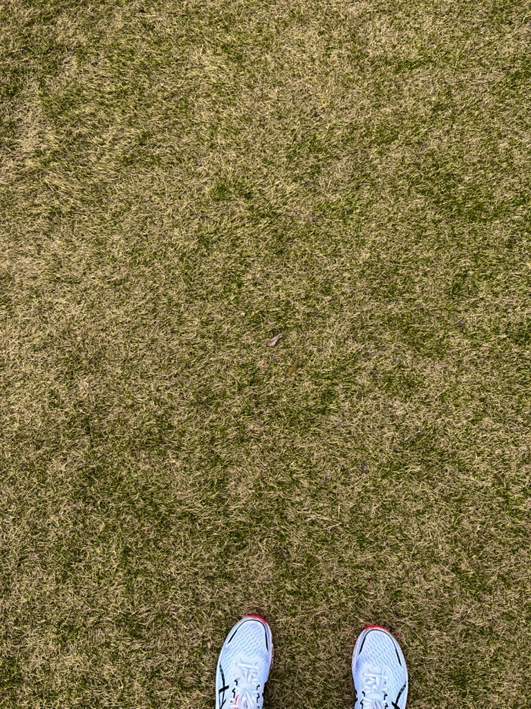 やまのこ tweet media