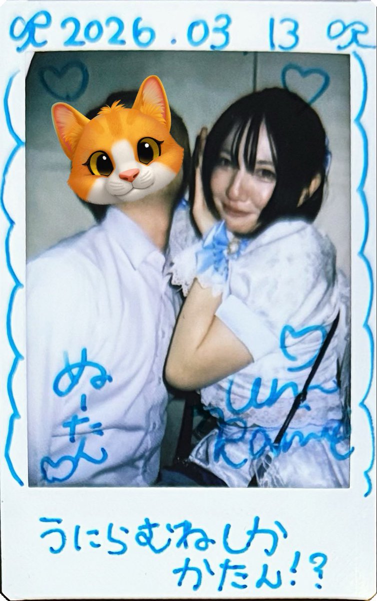 ぬーたん tweet media