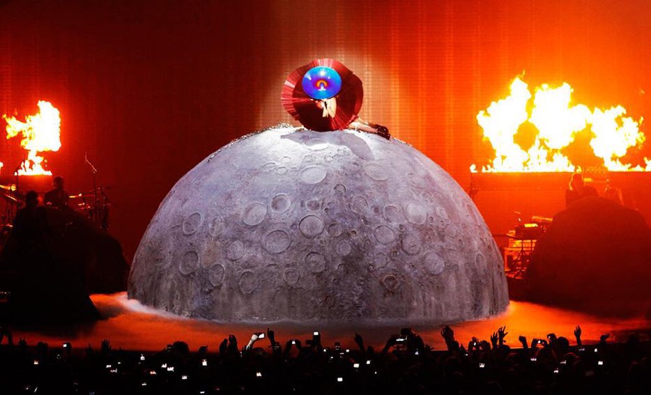 david 🌻 tweet media