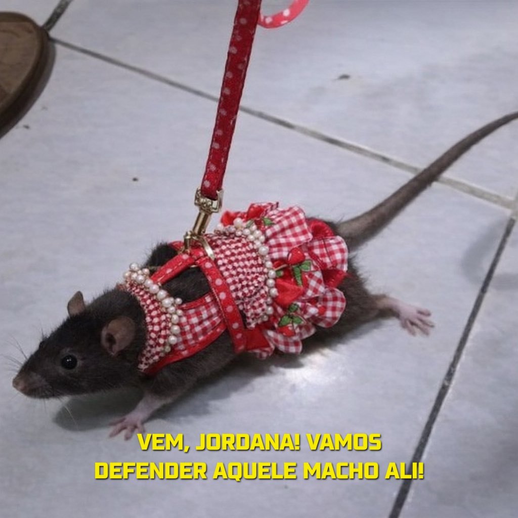 Bruna Paiva tweet media