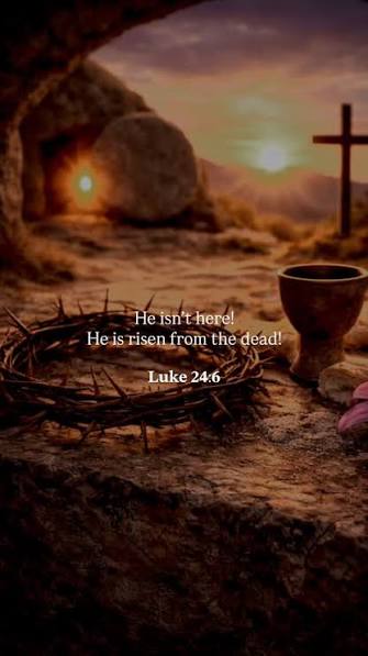 Rossy 42 tweet media