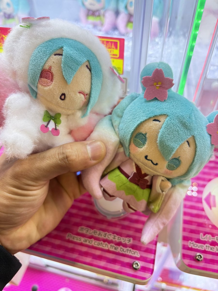 安心と心配のゆんさん tweet media