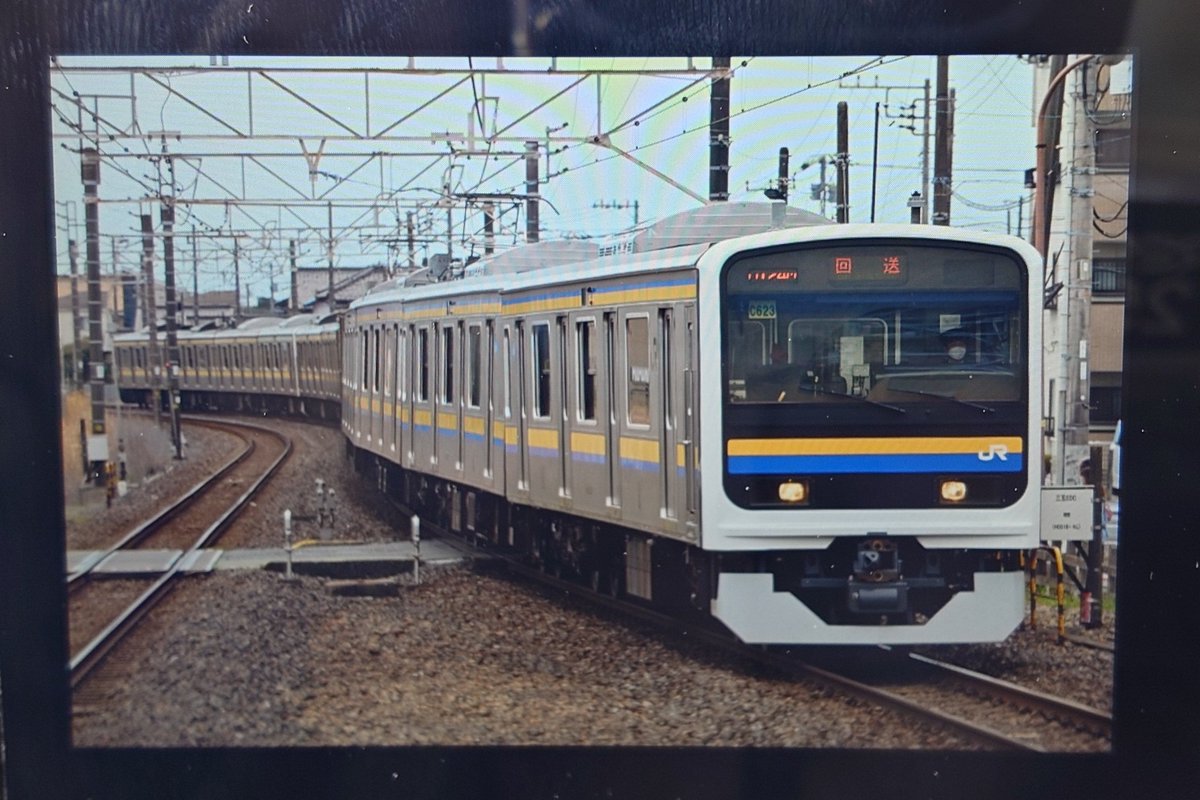 まはる tweet media