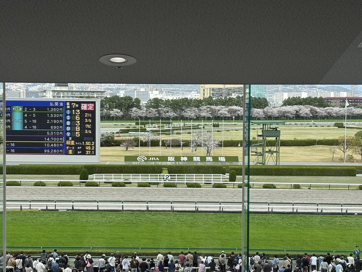 お家のりゅう🎩 tweet media