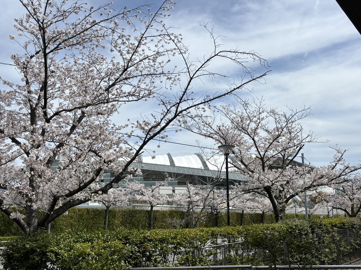 お家のりゅう🎩 tweet media