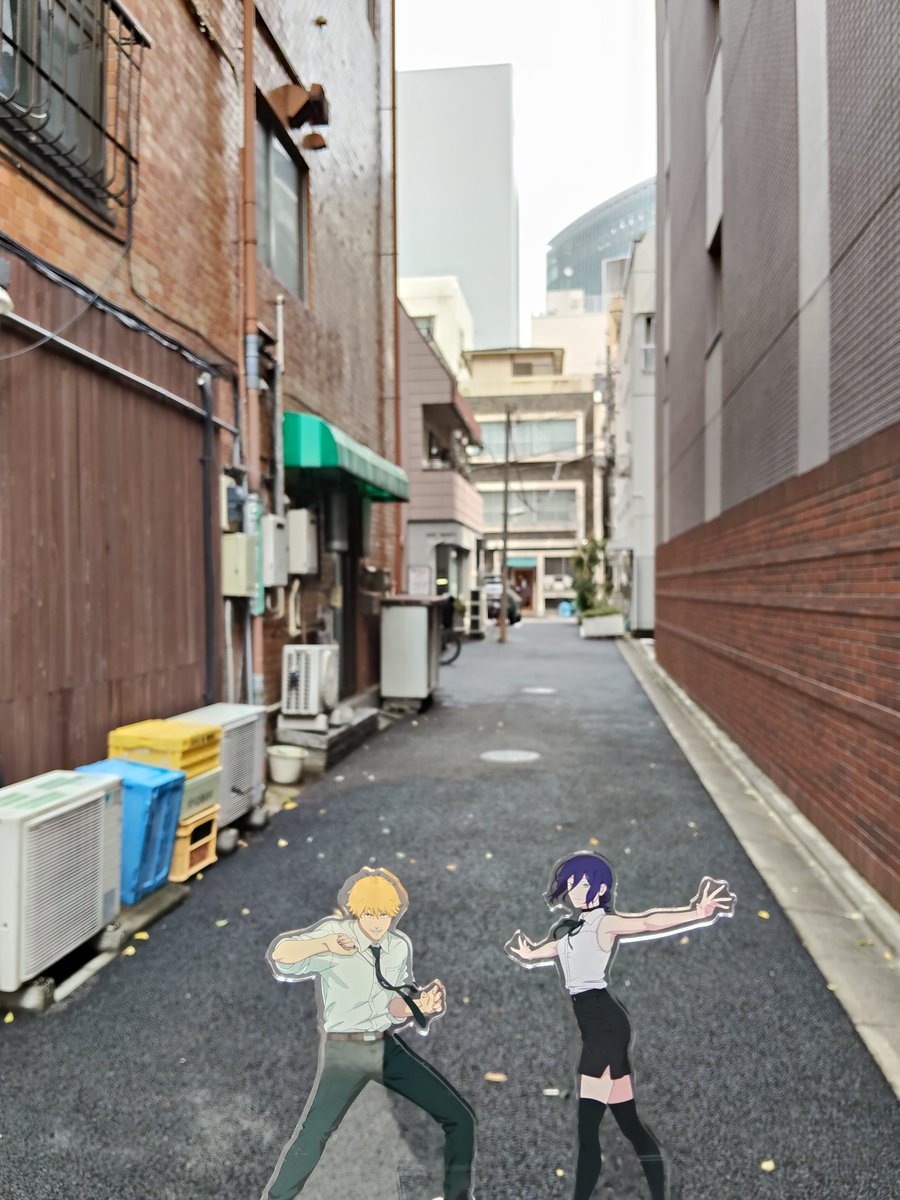 ぶらうんありす tweet media