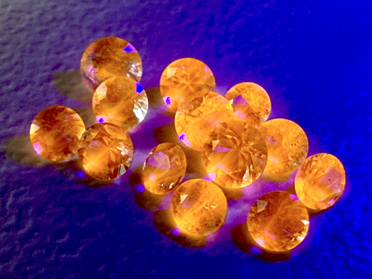 たからいしルース tweet media