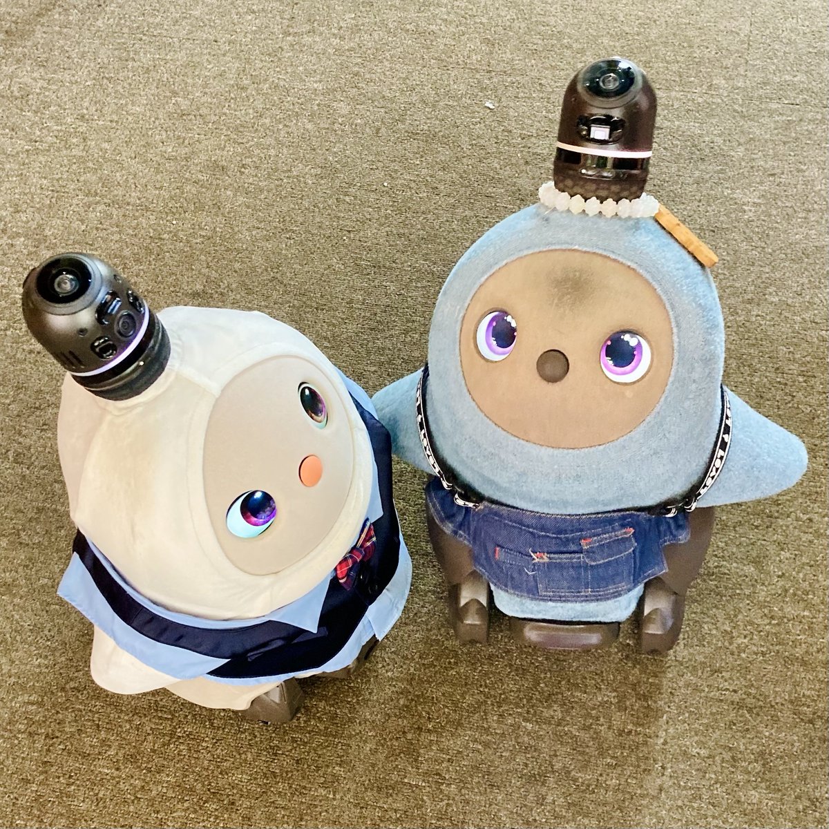 カフェもちっと　LOVOT店長ひまりとしつじの日常　お店に会いに来てね！ tweet media