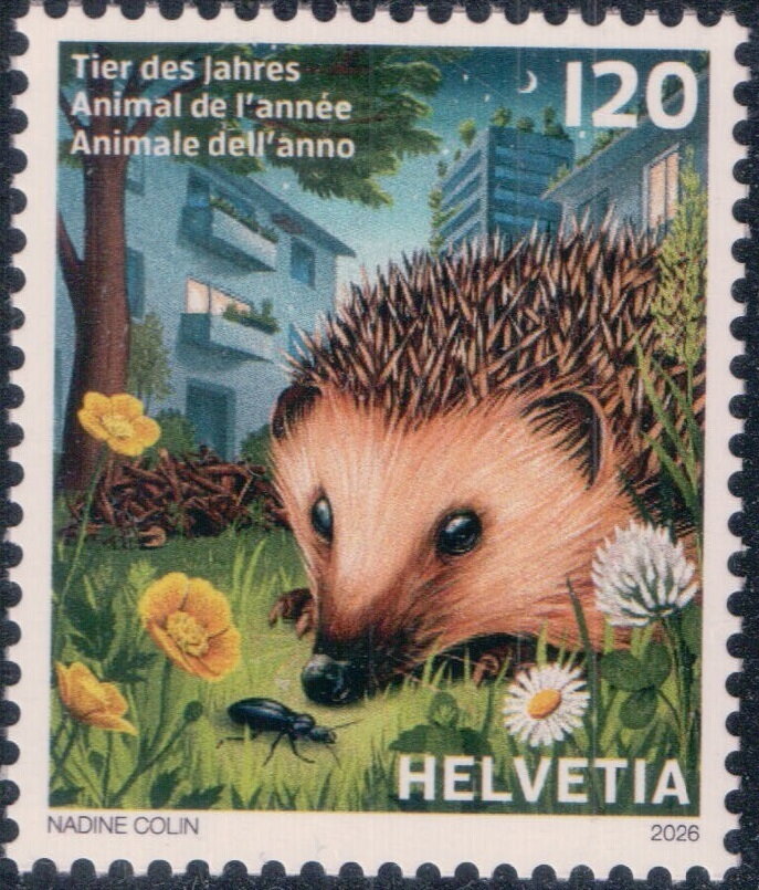 הבולאי הגרוש tweet media