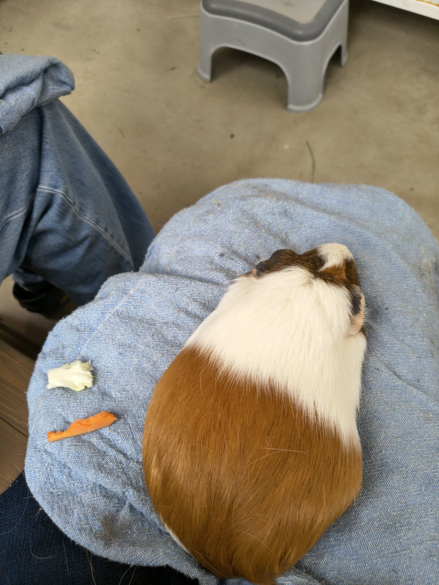 ひぐたん@アヤシイ壺 tweet media