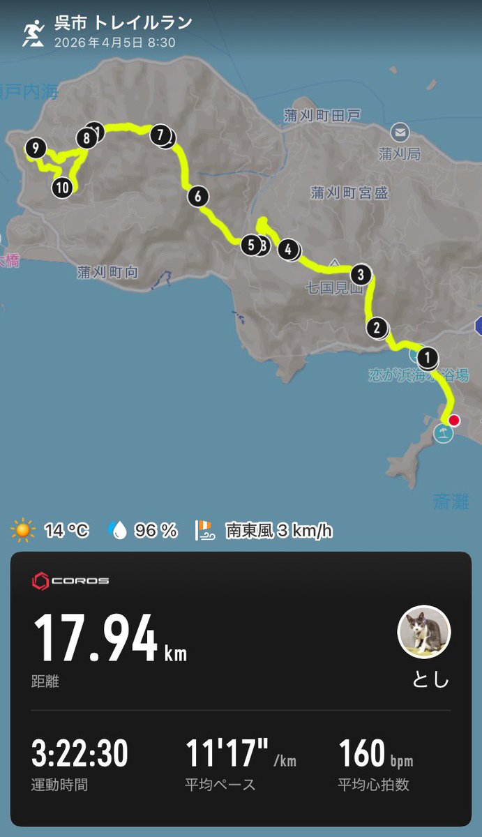 Toshi19663's tweet photo. ご無沙汰してますよぉ〜❤️

久しぶりのトレラン⛰️🏃‍♀️💨

広島まで遠征よぉ〜✈️✨✨

坐骨神経痛とバトルしながらも、無事に完走🏁

年代別で優勝🏆しました🥇✨✨

が、登録不備で表彰されず😭

距離が短いから甘くみてたけど、累積標高1600オーバーのめっちゃキッツイコースだったわ😭 https://t.co/Ox4mJIdg2F