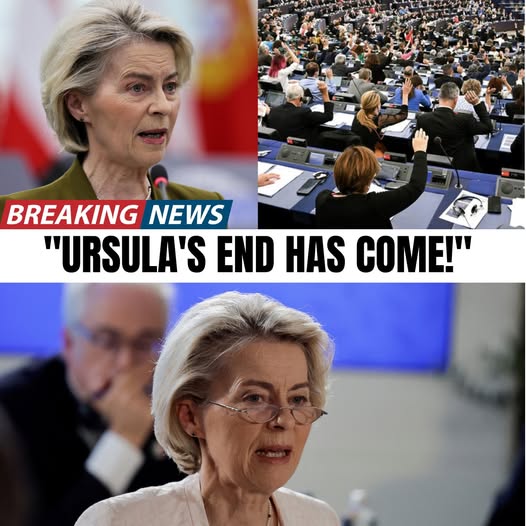 Make Europe Great Again - M.E.G.A tweet media