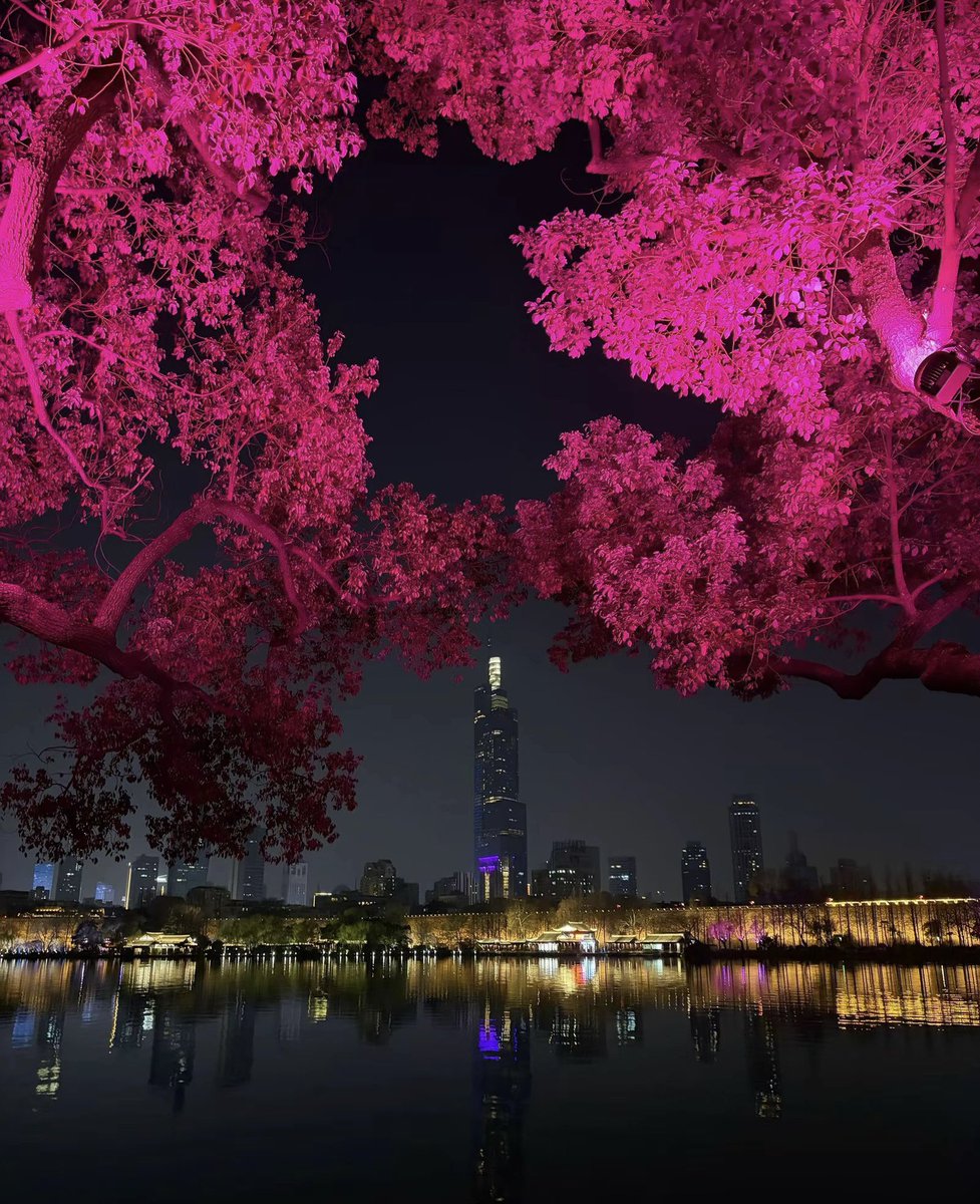 CryptoCat|猫姐🐈 tweet media