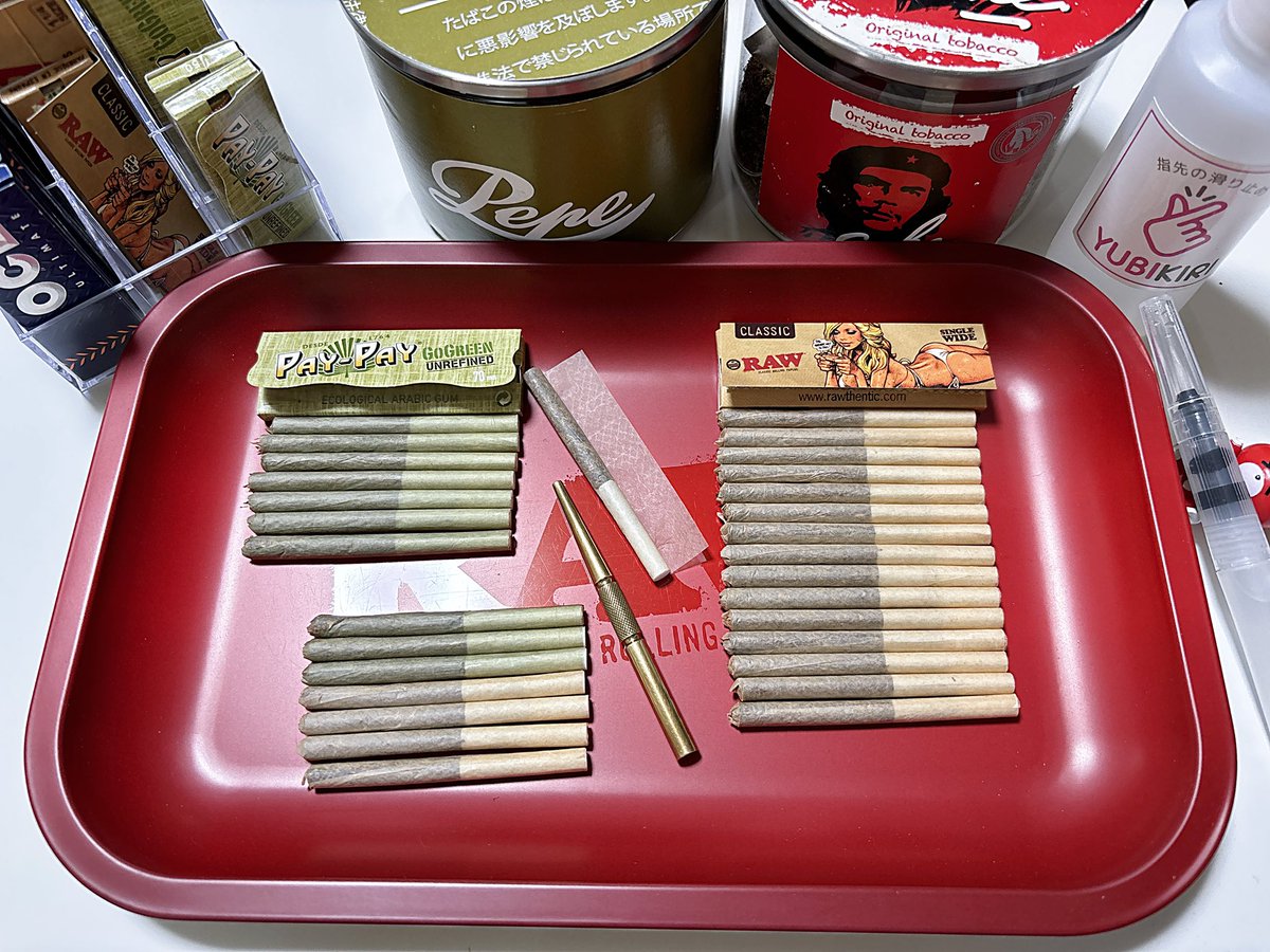 伽栖瑪瑠【キャスバル】 tweet media