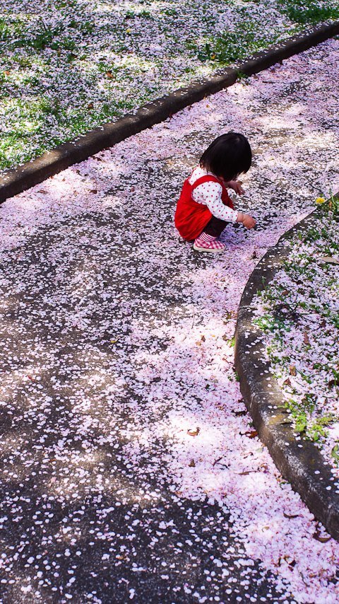 🍀5leafcloverC🍀 tweet media