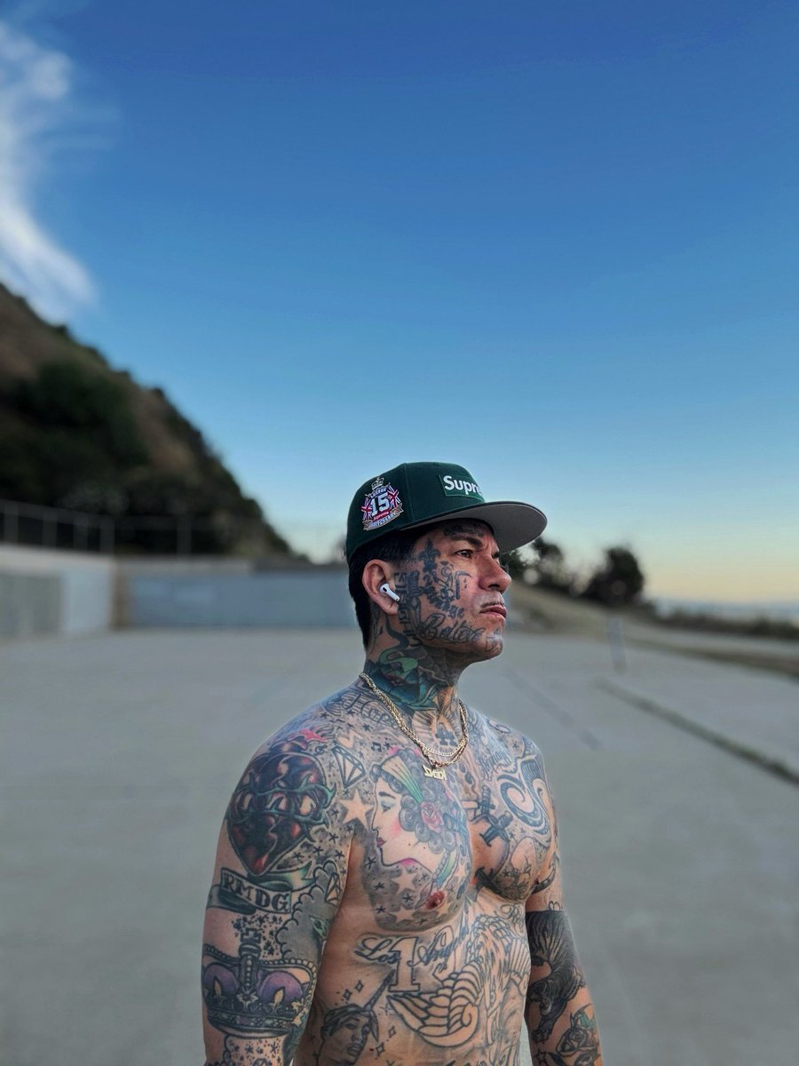 DLTatted tweet media