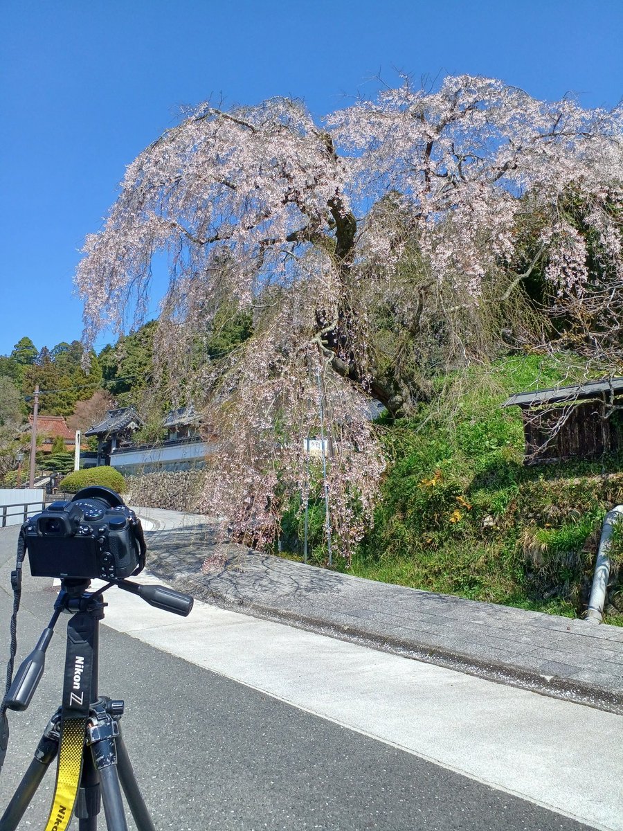 goodtime＠二千年一夜_25th Anniversary tweet media