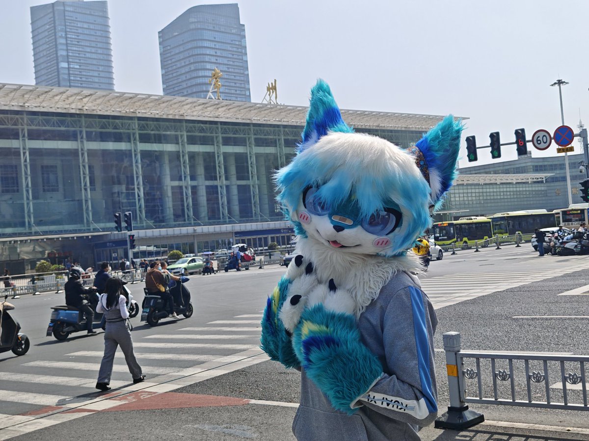 碧影Zeagle🔜南京 tweet media