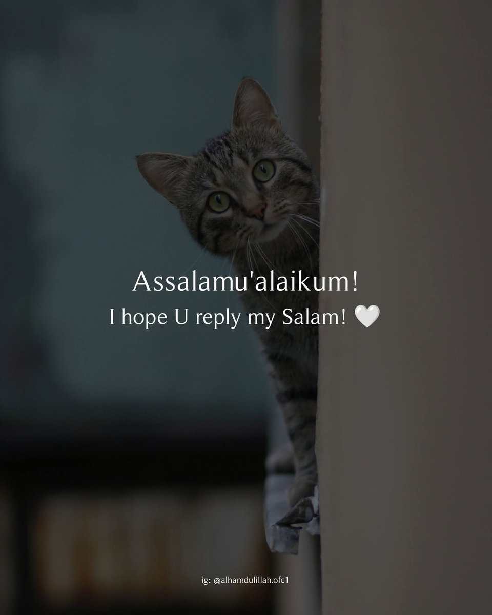 Cool_Ustaaz ☪ tweet media