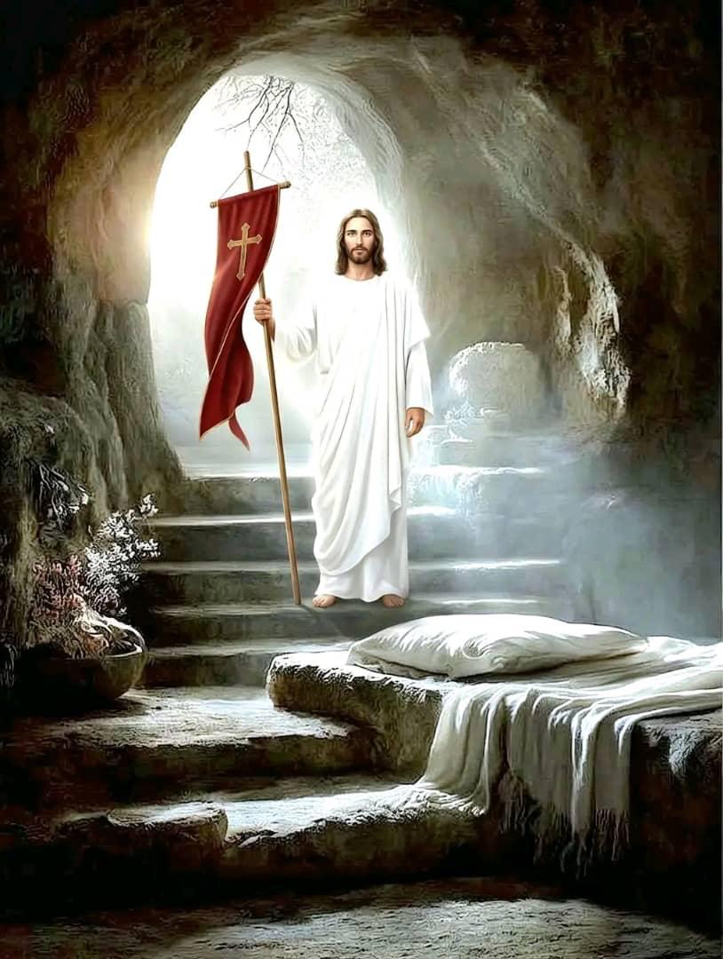 OLASBRIGHT tweet media