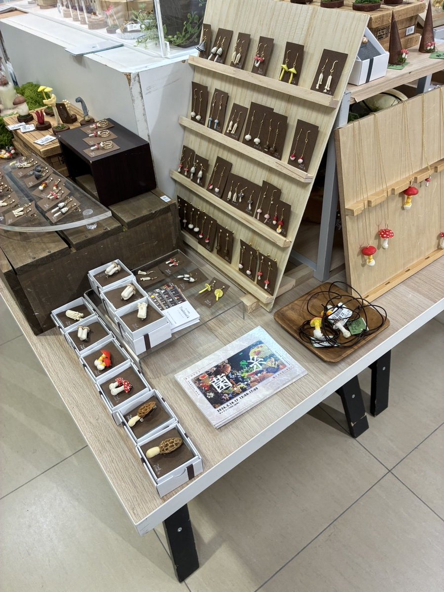 ご無沙汰してます
ちょっと身体を壊しまして入院中ですが、もうひと頑張りです
役に立たないきのこさんとの展覧会のDMを置かせていただいてます
ハンズ横浜店の
横浜きのこクラブで(4/8まで)
かわいいきのこグッズが購入出来るので、
ついでに「菌糸」のDMももらってくださいね！

展示は5/14〜17谷中