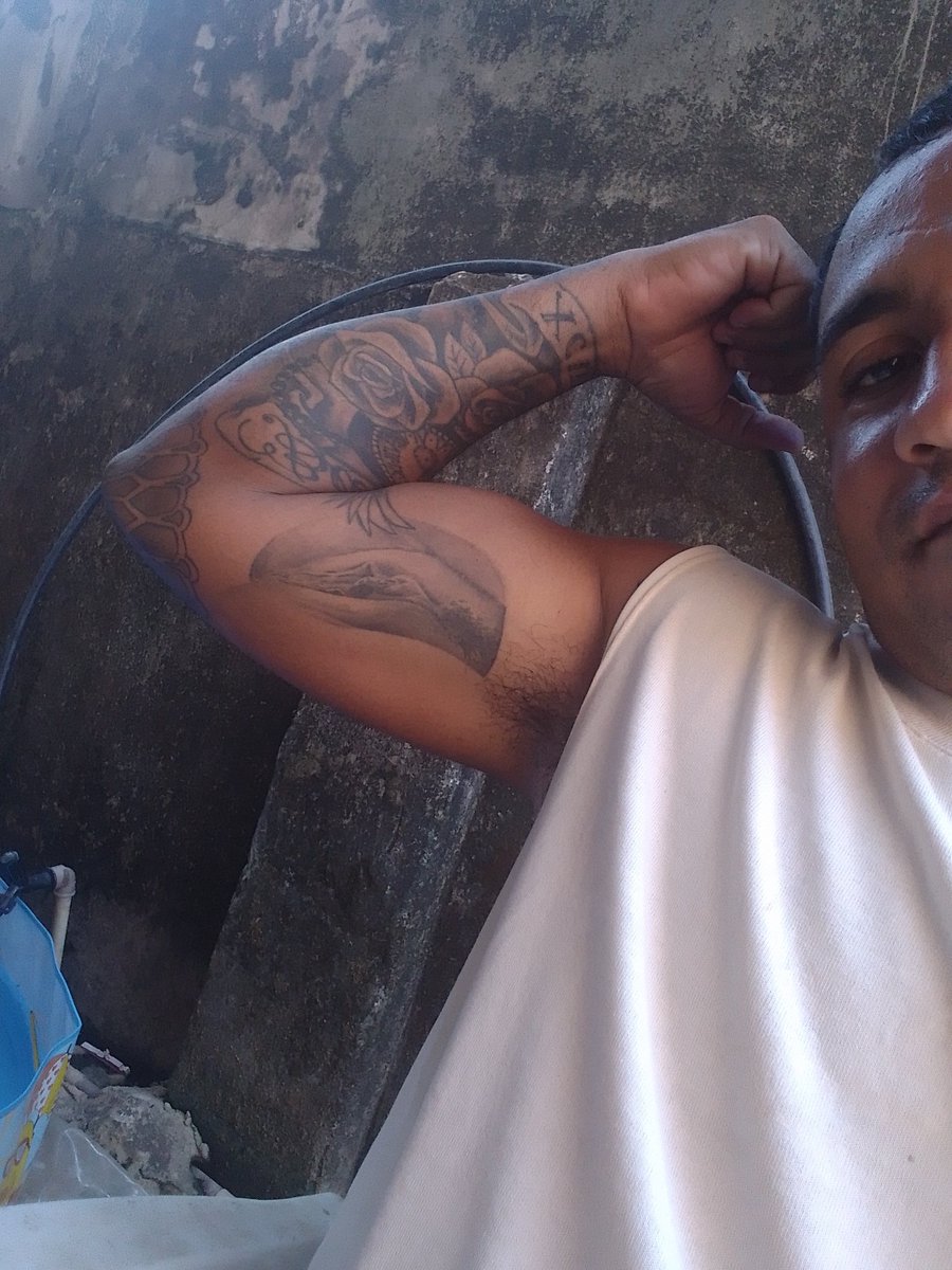 marcelo d2 geladeira tsunami dadaísta tweet media