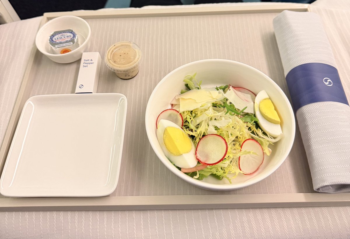 sherryseoul's tweet photo. 풀코스로 즐기고 한시간 누워서 꿀잠 자고 도착✈️  4시간이 너무 짧게 느껴졌당🩵 https://t.co/qwVvjvQmEr