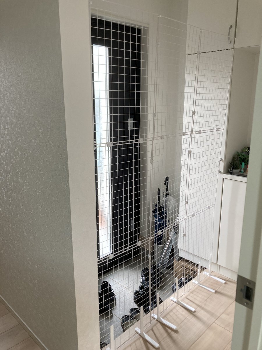 Taaaagi (たーぎ) tweet media