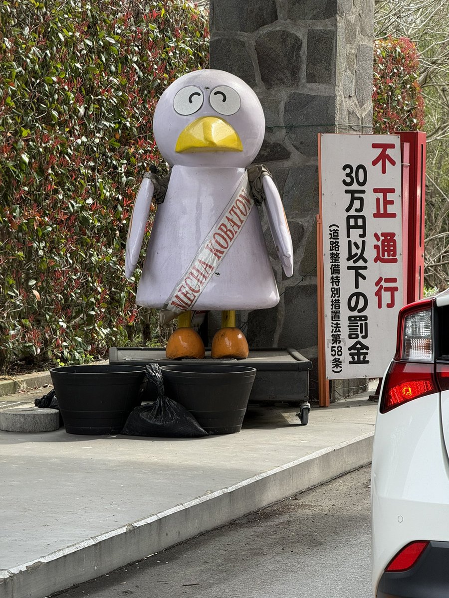 ネロネロさんご tweet media