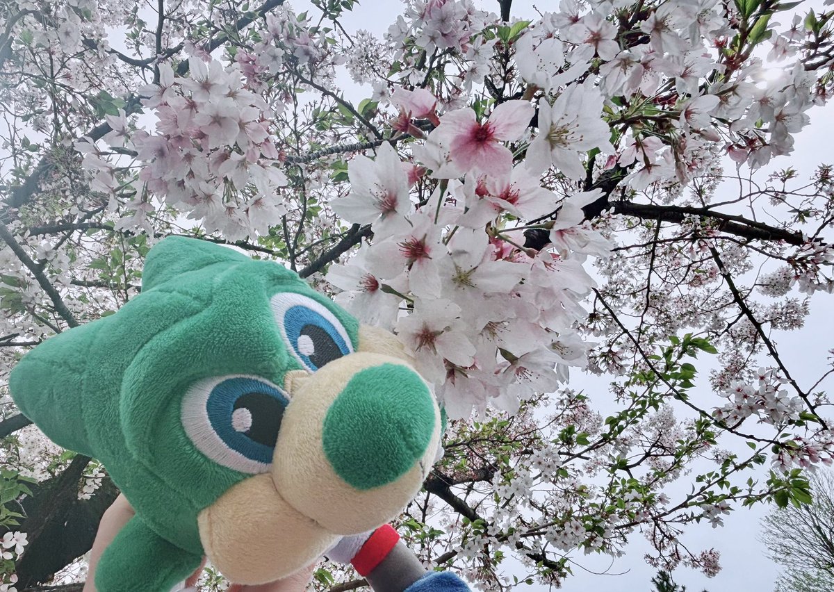 なぞる tweet media