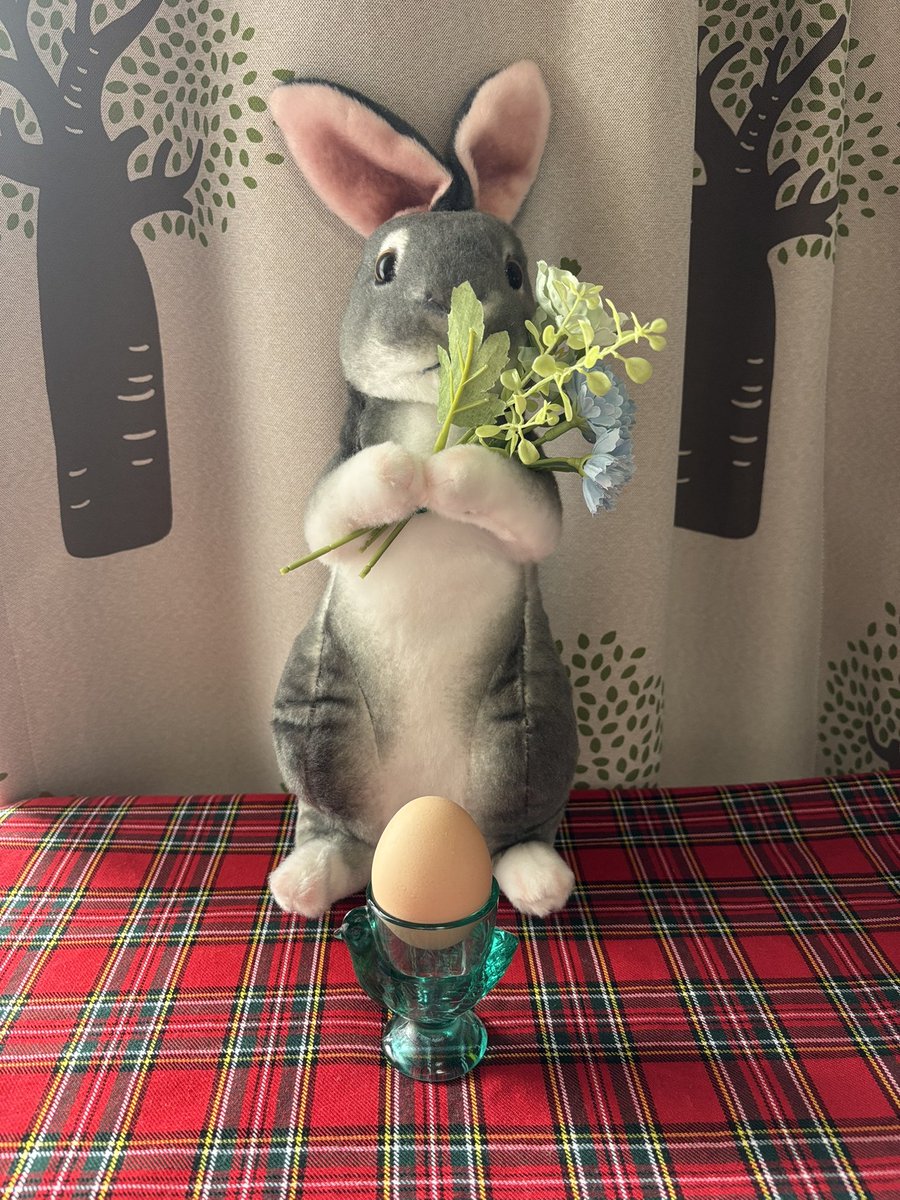 ranunculous3's tweet photo. Happy Easter🌼🐰🐾🐣🌷 https://t.co/CPZzRKIDOG