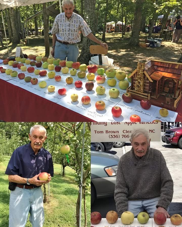 محمد المطيري tweet media