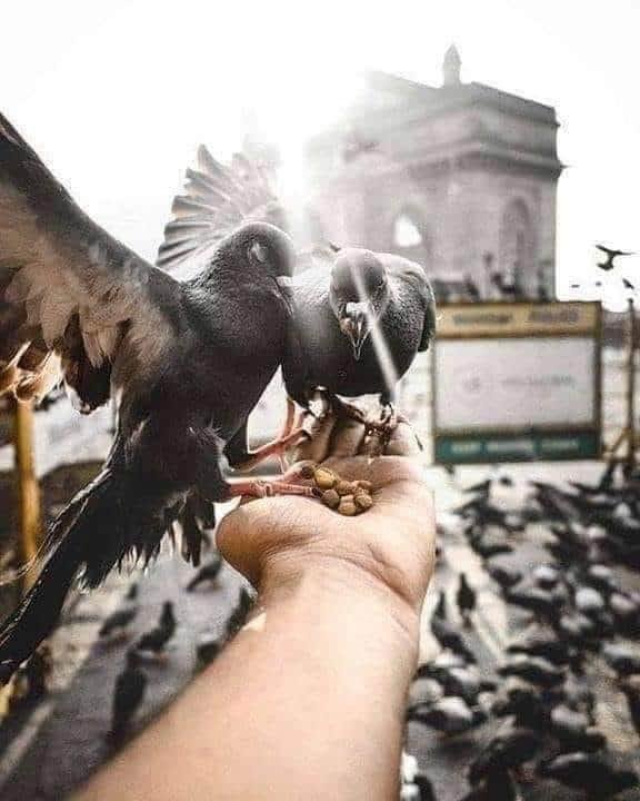 MUHAMMAD ARIF SANDHU tweet media