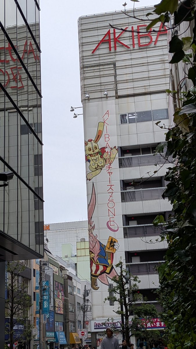 ゆーり@因幡組💛 tweet media