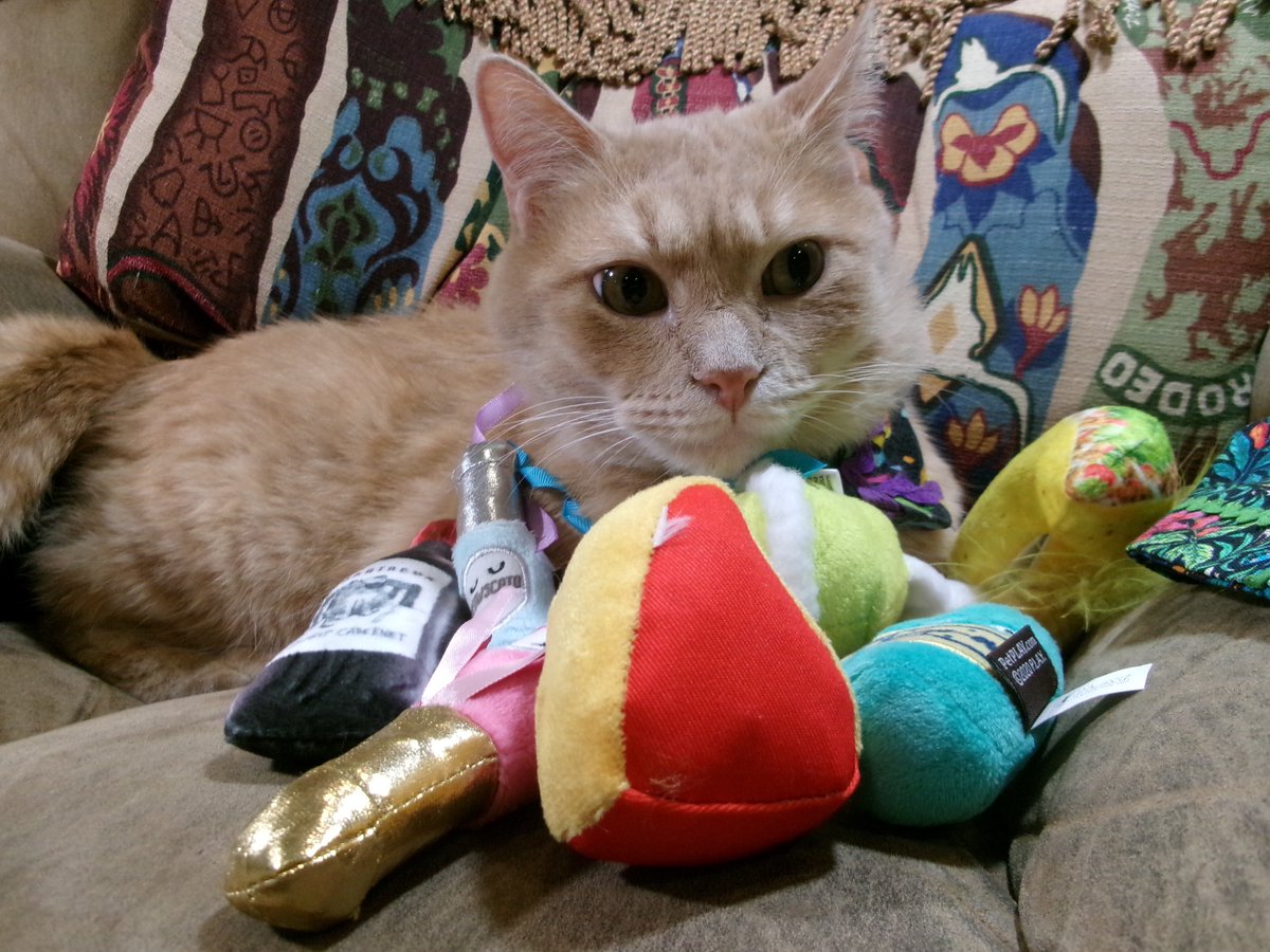 Travis Ford tweet media